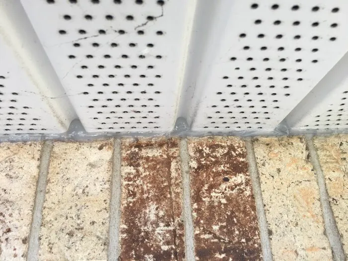 Pest Elimination Picture 2