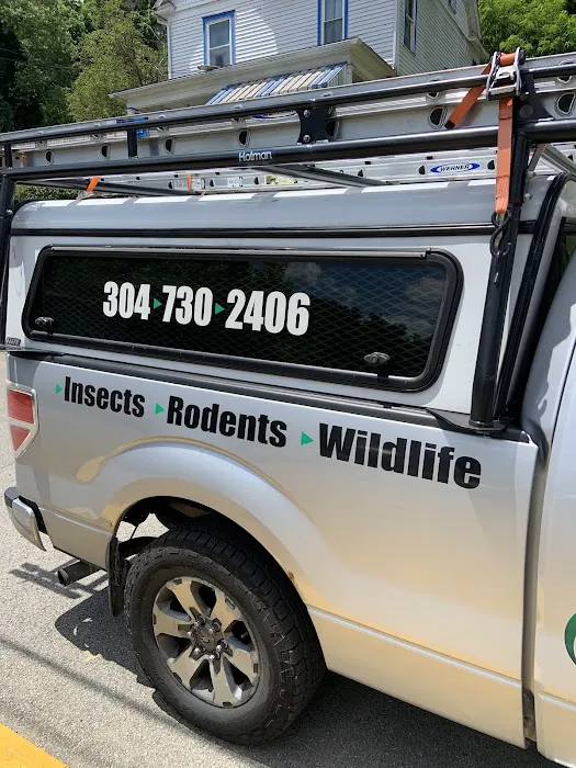Pest Elimination Picture 10