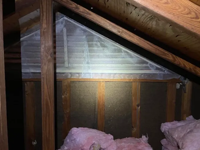 Pest Elimination Picture 8