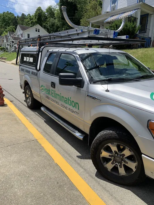 Pest Elimination Picture 7