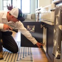 Green Pest Services ico