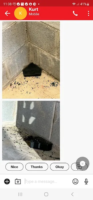Swift Creek Pest Control Picture 5