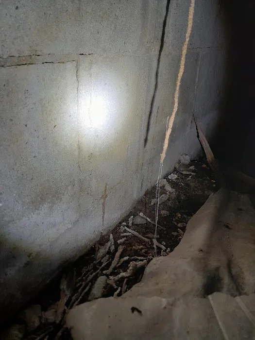 Swift Creek Pest Control Picture 6