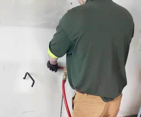Lewis Pest Control & Wildlife Removal