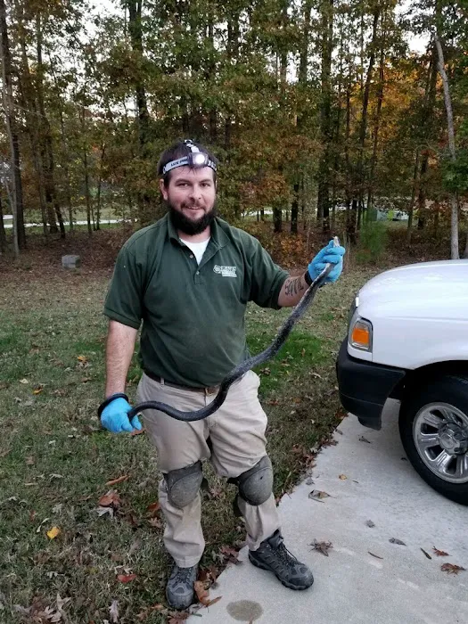 Lewis Pest Control & Wildlife Removal Picture 7
