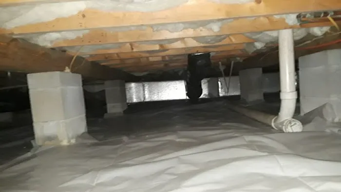 Eastern pest services Picture 1