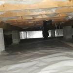 Eastern pest services