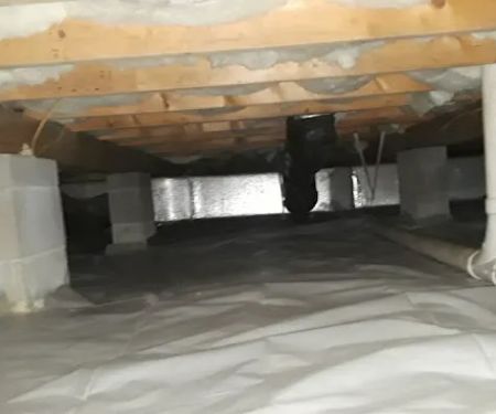 Eastern pest services
