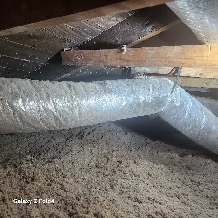 Hayward Termite Pest Control LLC Picture 10