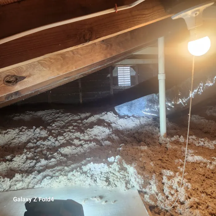 Hayward Termite Pest Control LLC Picture 7