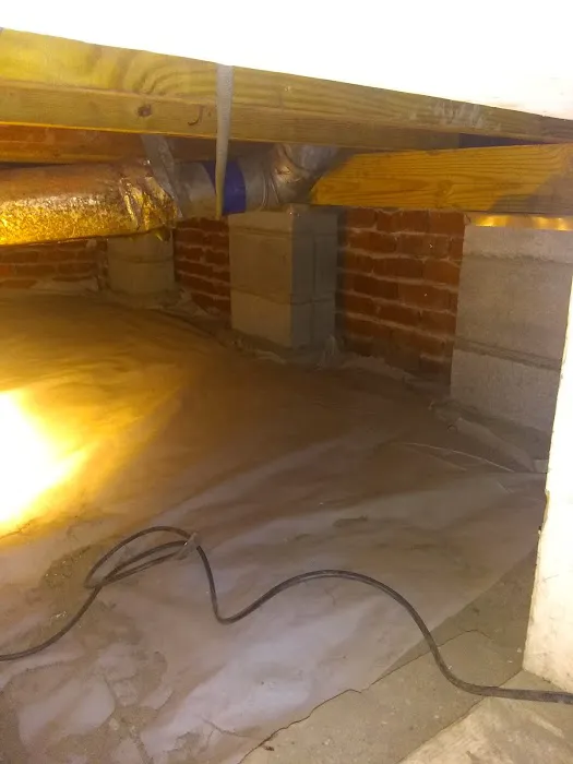 Hayward Termite Pest Control LLC Picture 1