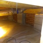 Hayward Termite Pest Control LLC
