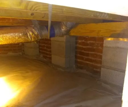 Hayward Termite Pest Control LLC