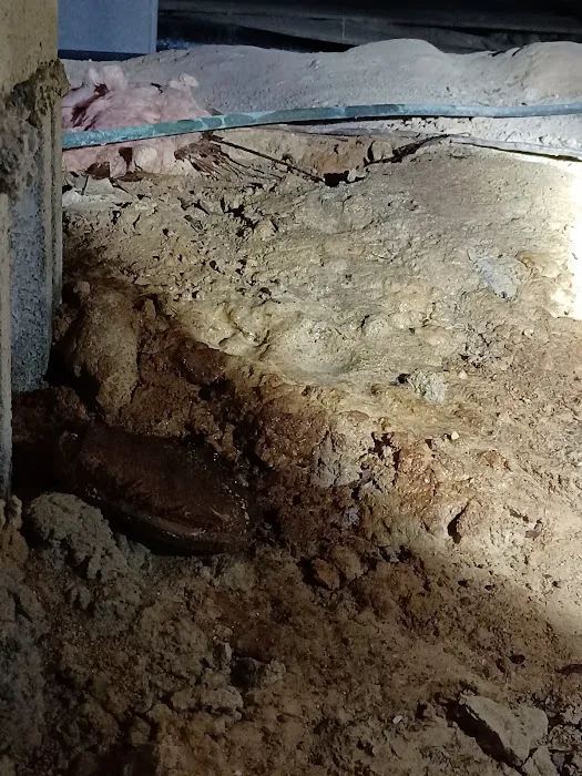 Hayward Termite Pest Control LLC Picture 5