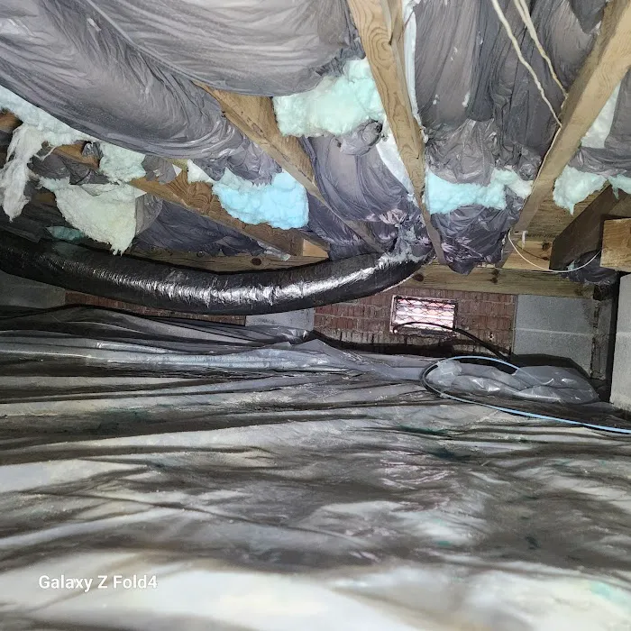 Hayward Termite Pest Control LLC Picture 4
