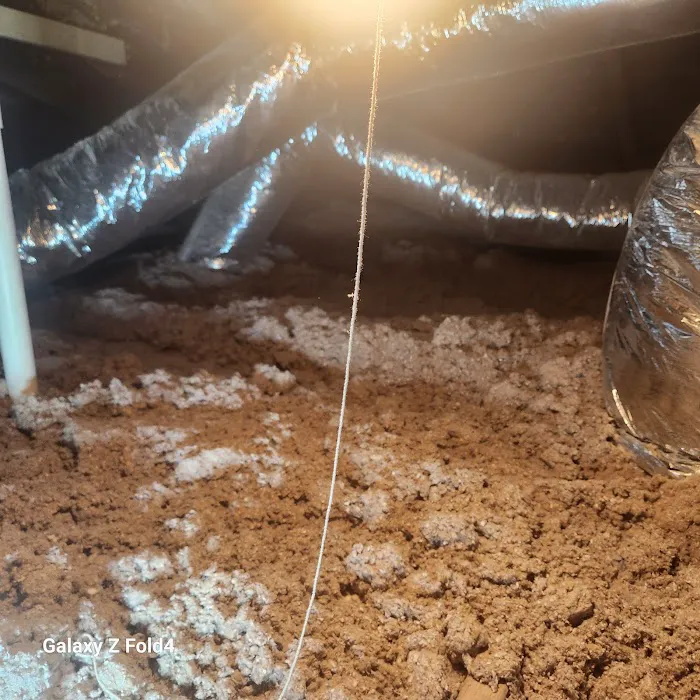 Hayward Termite Pest Control LLC Picture 6