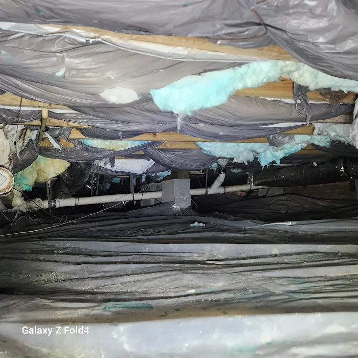 Hayward Termite Pest Control LLC Picture 8