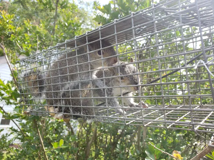 ACME Animal Control Picture 2