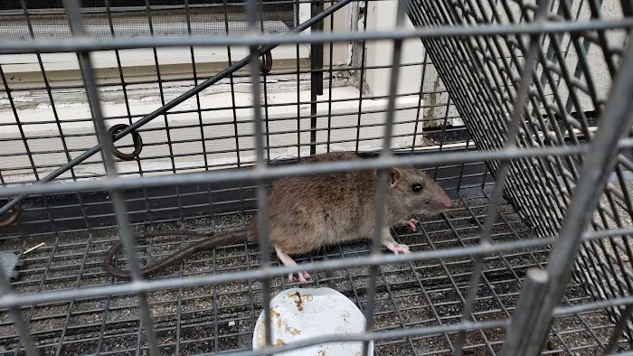 ACME Animal Control Picture 5