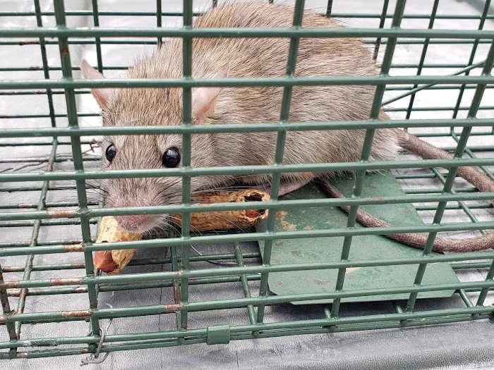 ACME Animal Control Picture 7