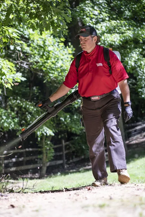 Go-Forth Pest Control Picture 1