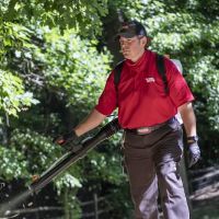Go-Forth Pest Control ico