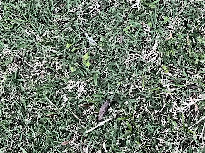 Alta Pest Control Picture 2