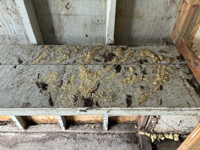 Alta Pest Control Picture 5