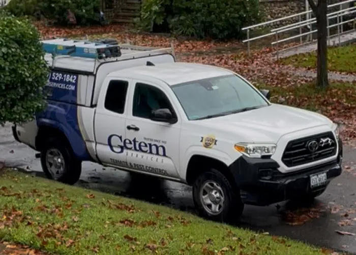 Getem Services Picture 5