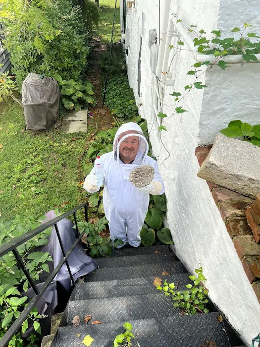 Senate Termite & Pest Control Picture 3
