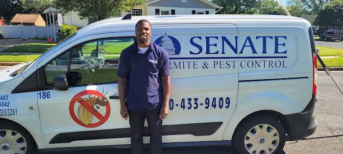 Senate Termite & Pest Control Picture 6
