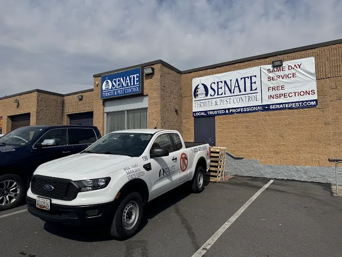 Senate Termite & Pest Control Picture 9