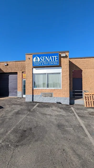 Senate Termite & Pest Control Picture 8