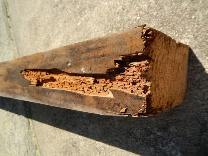 Universal Pest & Termite, Inc. Picture 8
