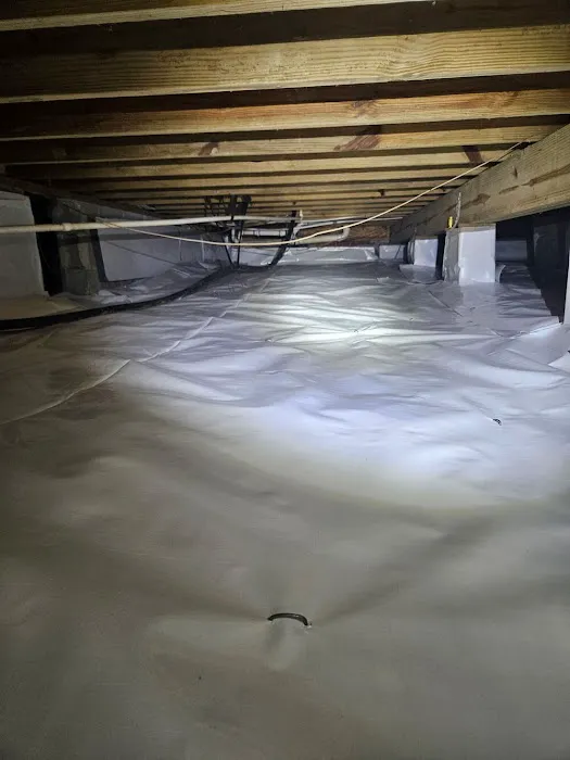 Universal Pest & Termite, Inc. Picture 4