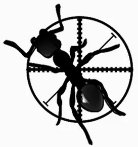 Pest Terminator Inc Picture 2