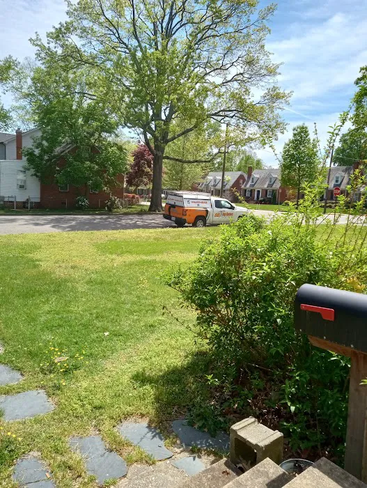 Bug Busters Pest Control Services Picture 1