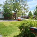 Bug Busters Pest Control Services