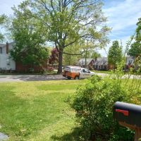 Bug Busters Pest Control Services ico