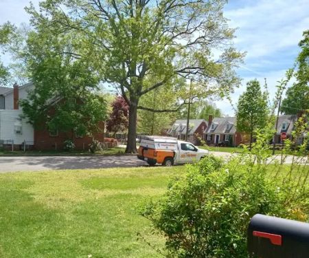 Bug Busters Pest Control Services