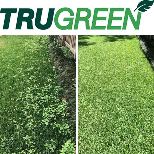 TruGreen Weed Control Of Bangor Picture 7