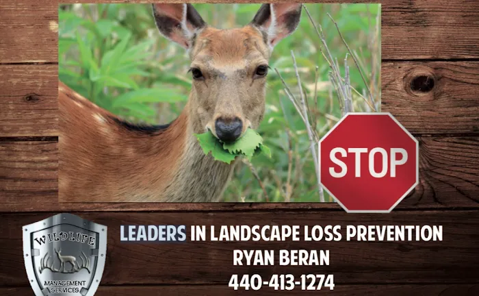 Wildlife Management Services Inc Picture 8