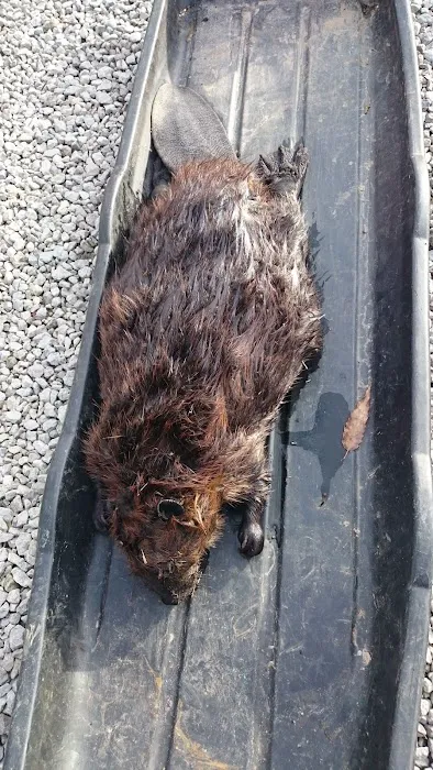 Geauga Nuisance Control Picture 3