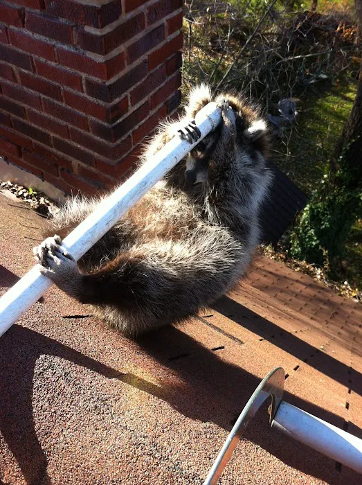 Geauga Nuisance Control Picture 1