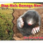 Chagrin Valley Pest Control