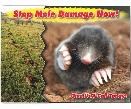 Chagrin Valley Pest Control