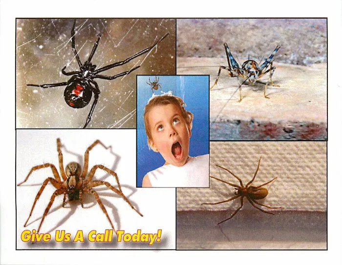 Chagrin Valley Pest Control Picture 2