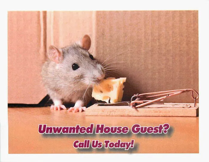 Chagrin Valley Pest Control Picture 4