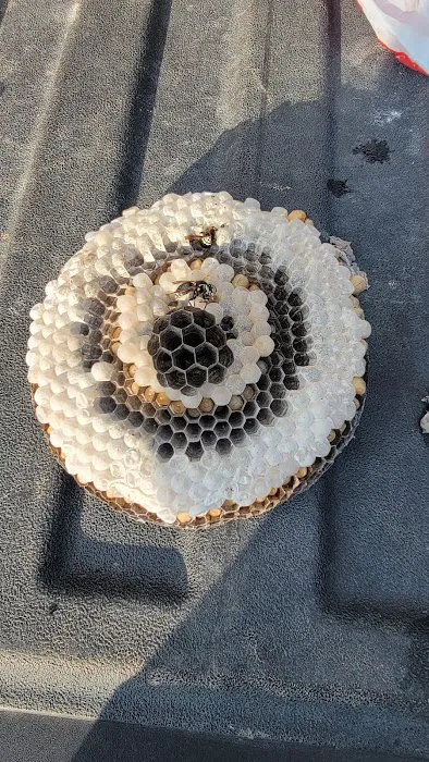 Ridd-x Pest Defense Picture 1