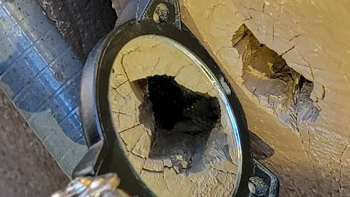 Ridd-x Pest Defense Picture 10